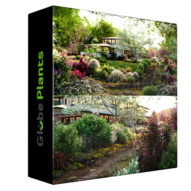 Globe Plants - Bundle 27 - North American Home & Garden Plants