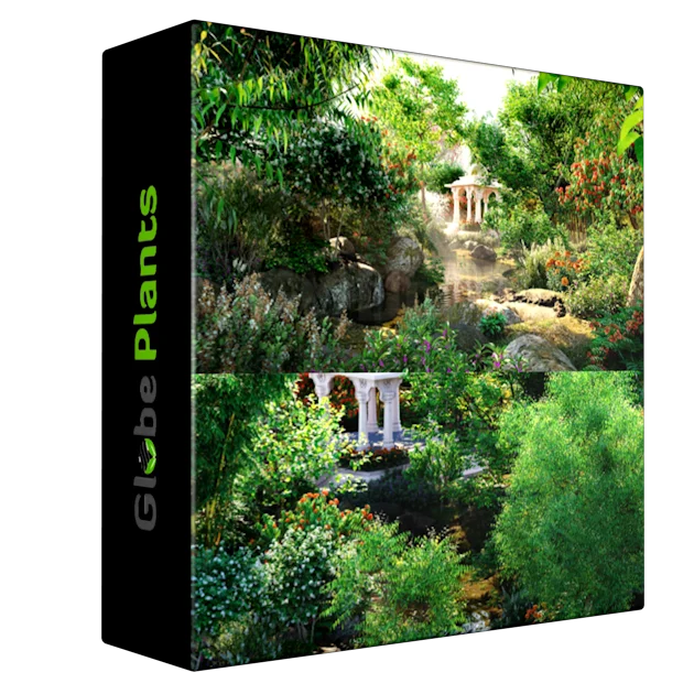 Globe Plants - Bundle 36 - Indian Plants