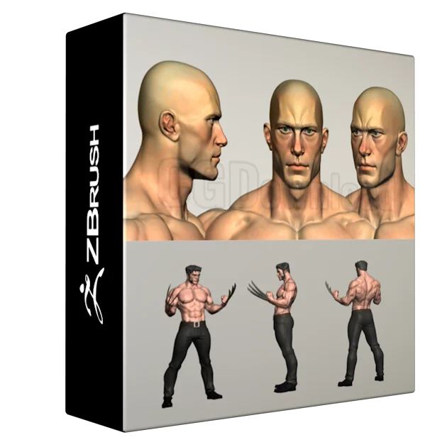 Super Human Anatomy course