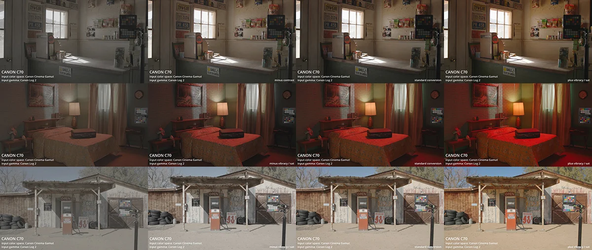 Tropic Colour – CANON CONVERSION LUTS