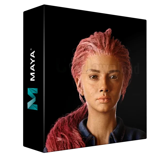 Realistic 3d Female Face
