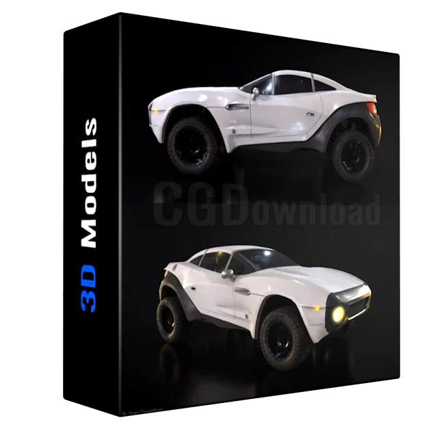 Rally Fighter 