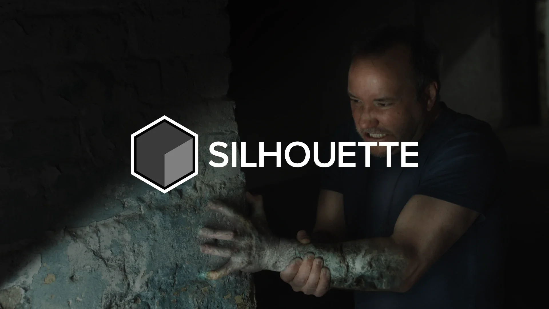 бесплатно Silhouette