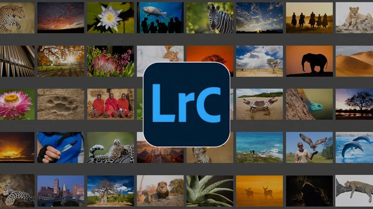 Adobe Lightroom Classic - Beginner Level скачать