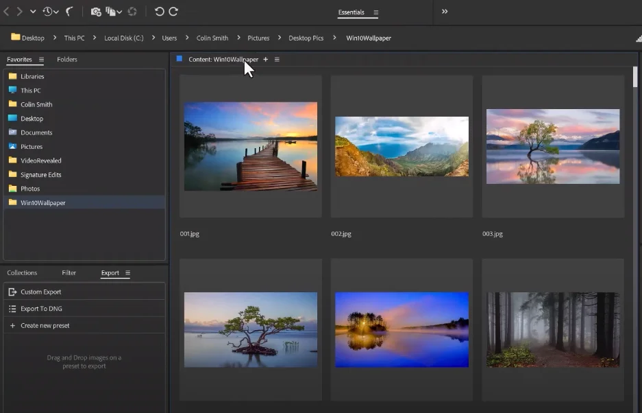 Adobe Bridge crack