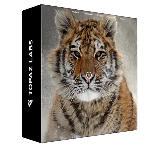 Topaz Photo AI Pro