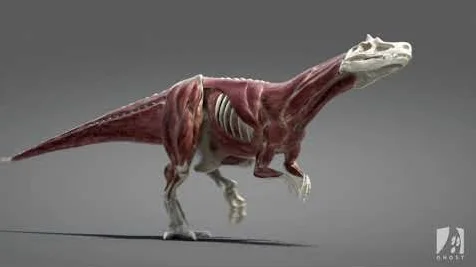 Ziva VFX crack