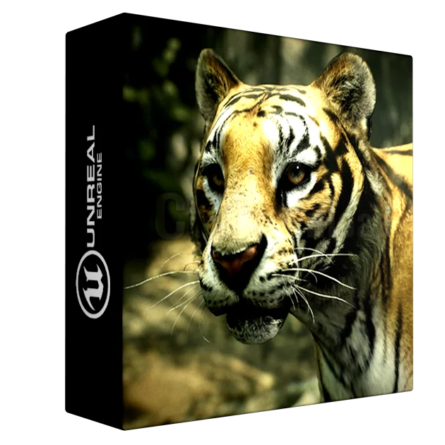 Animalia - Tiger (male)