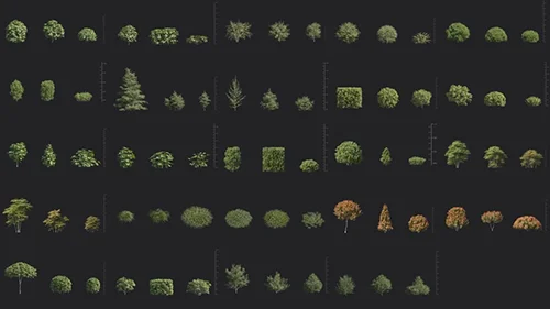 Maxtree Plant Models Vol 58 скачать