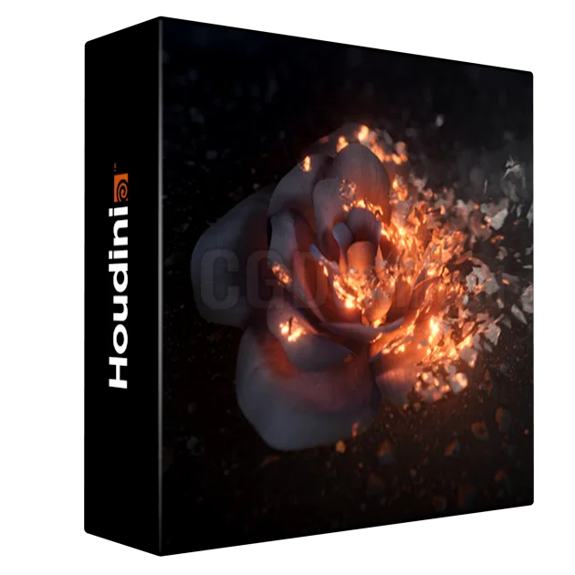 Ash Disintegration - Houdini & Nuke VFX Course