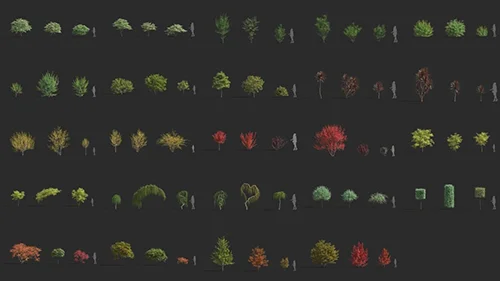 Maxtree Plant Models Vol 81 скачать