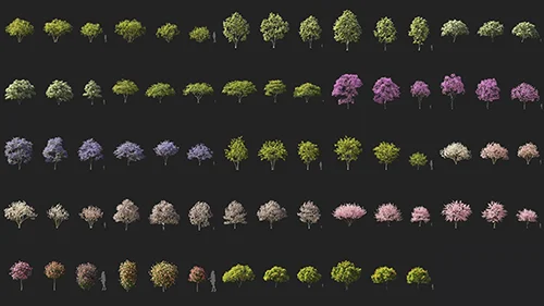 Maxtree Plant Models Vol 107 скачать