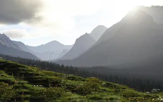 terragen-professional