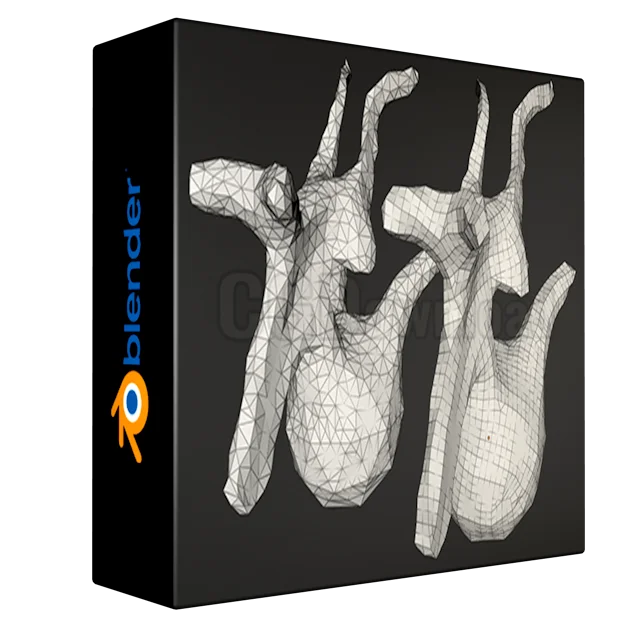 Instant Meshes Remesh
