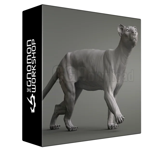 Animal Anatomy: Modeling a Fossa