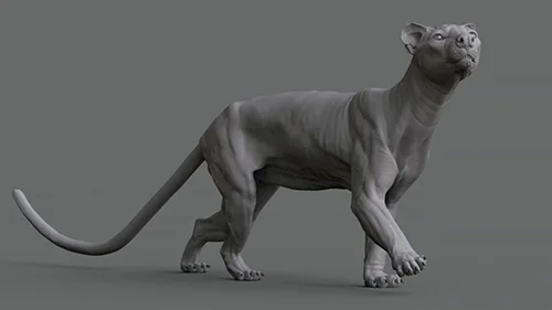 Animal Anatomy Modeling a Fossa скачать