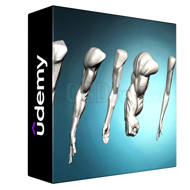 Arm and hand anatomy exercises course