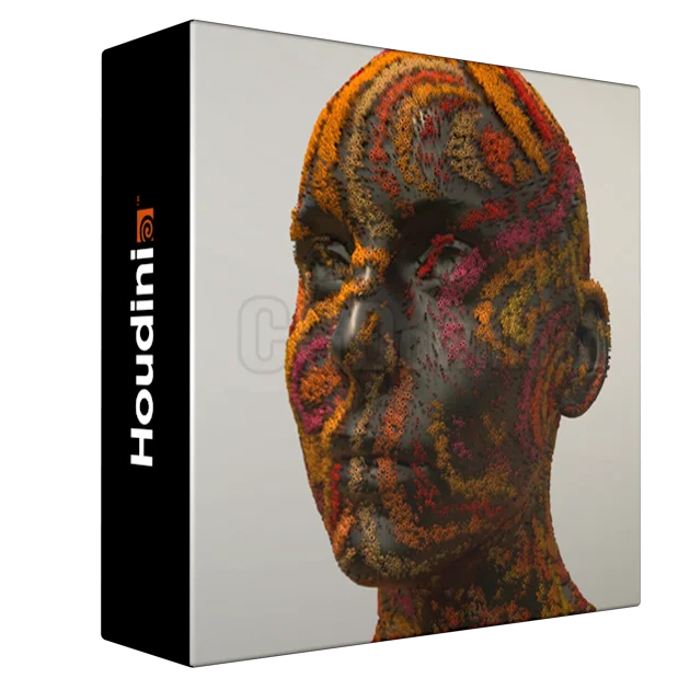 Arnold for Houdini