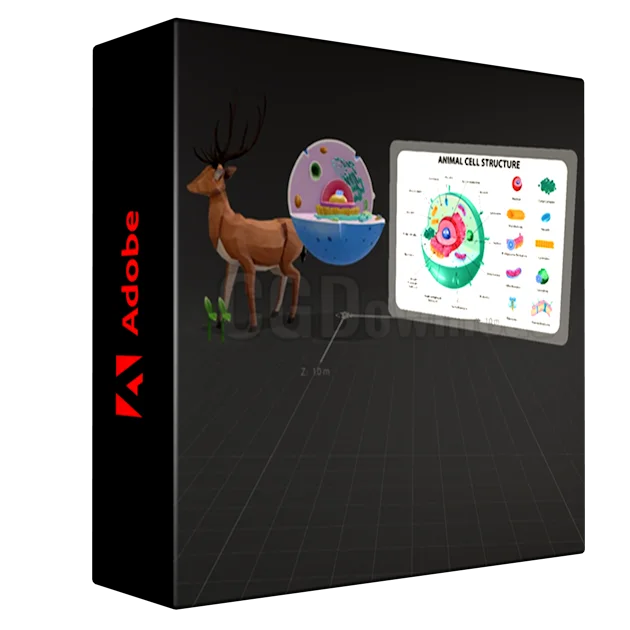 Augmented Reality for Anybody
