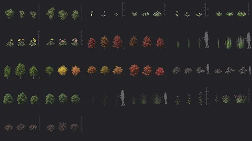 Maxtree - Plant Models Vol 116 скачать