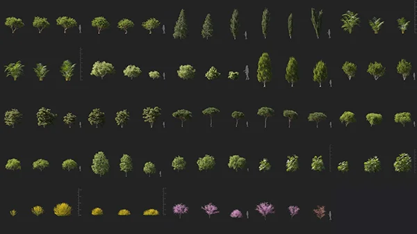 Maxtree - Plant Models Vol 127 скачать