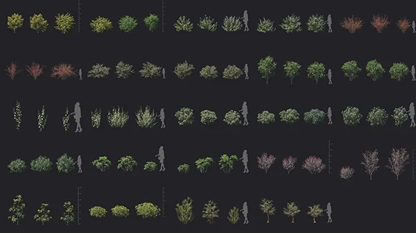 Maxtree - Plant Models Vol 129 скачать