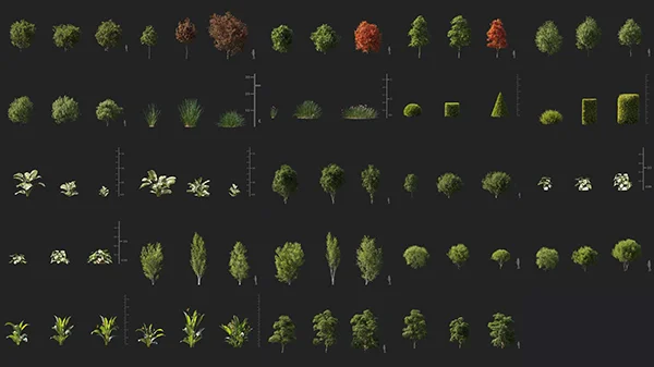 Maxtree - Plant Models Vol 131 скачать