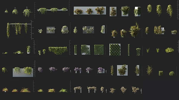 Maxtree - Plant Models Vol 133 скачать