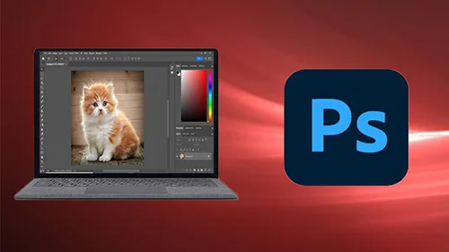 Adobe Photoshop CC For Absolute Beginner to Advanced скачать