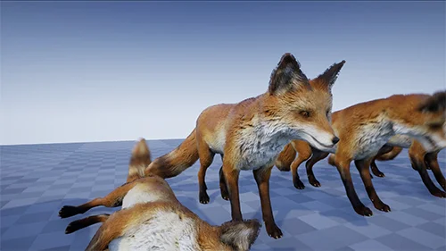 Animal Variety Pack скачать