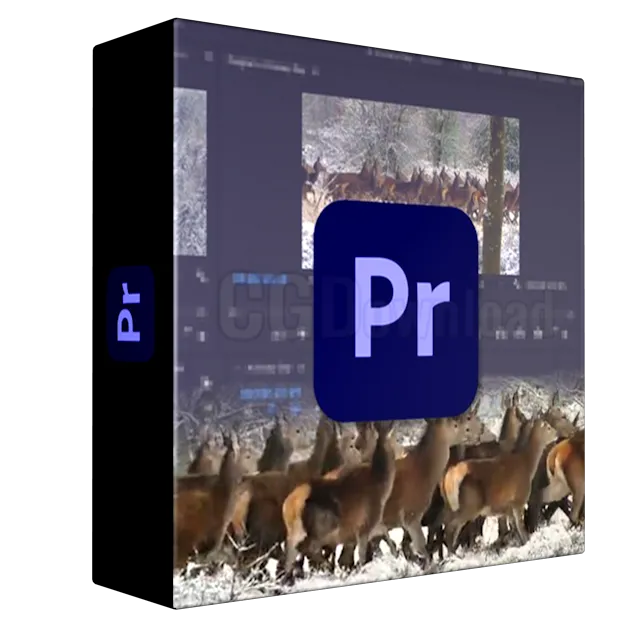 Learn Premiere Pro Video Editing for Absolute Beginners