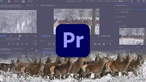 Learn Premiere Pro Video Editing for Absolute Beginners скачать