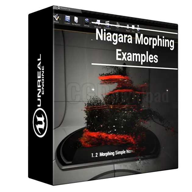Niagara Morphing Examples