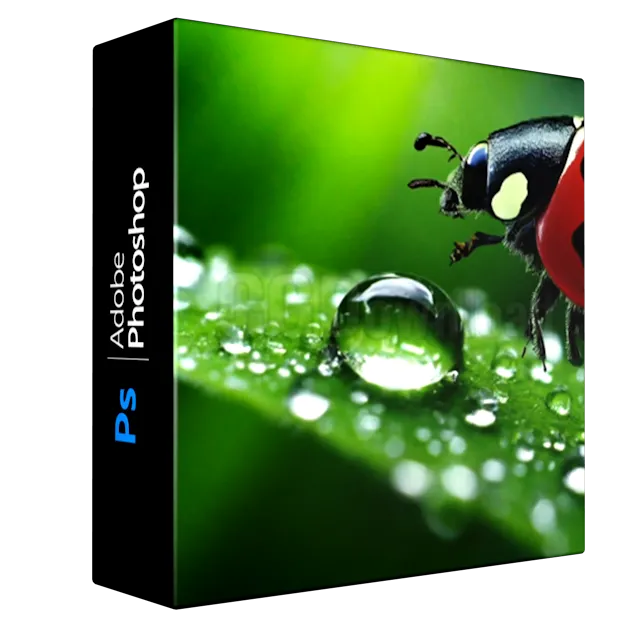 Photoshop Basics Mastering Essential Techniques