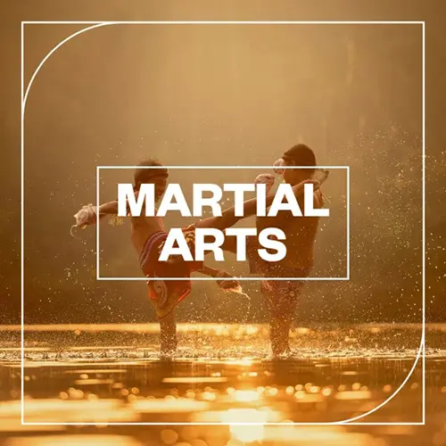 Blastwave FX - Martial Arts скачать