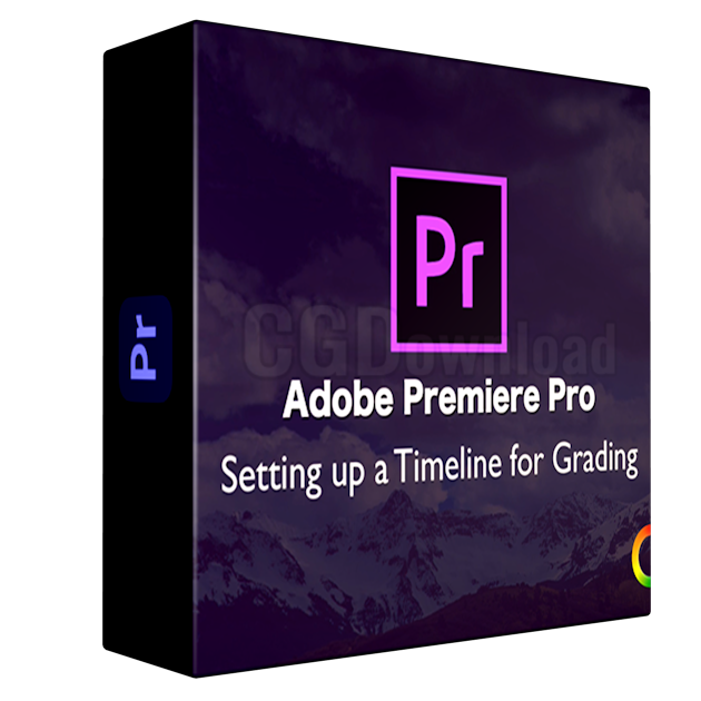 Color Grading Premiere Pro Course