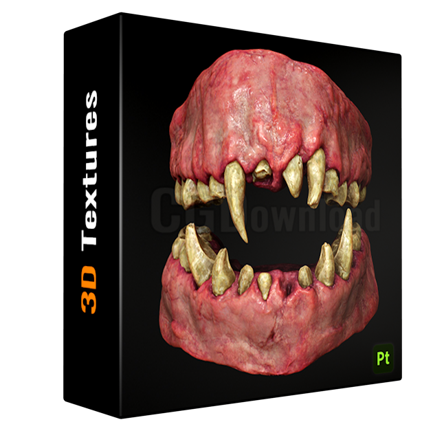 Gum and Teeth Pack 15+ Smart Materials