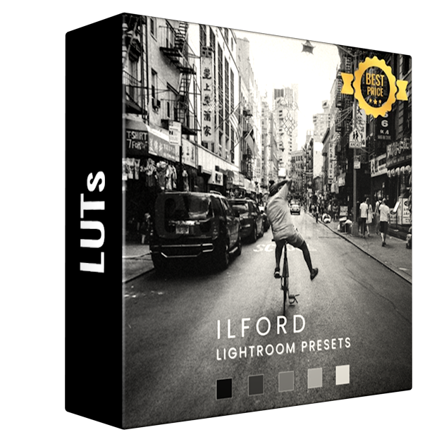 ILFORD HP SIMULATION