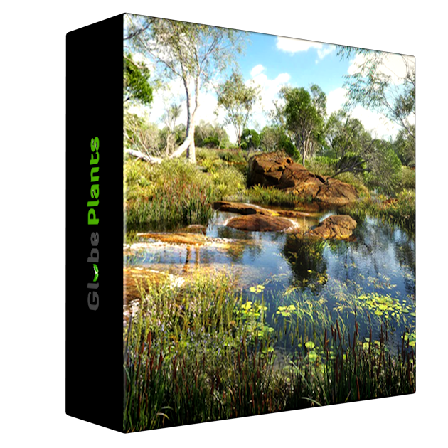 Globe Plants - Bundle 46