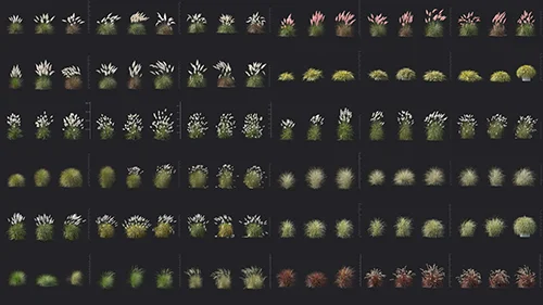 Maxtree - Plant Models Vol 139 скачать