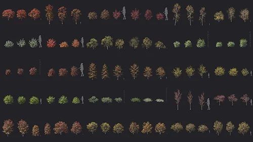 Maxtree - Plant Models Vol 146 скачать