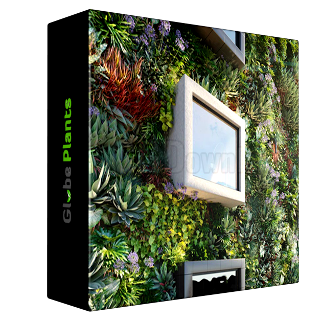 Globe Plants - Bundle 47