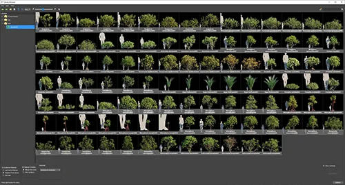 Globe Plants - Bundle 50 скачать