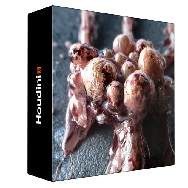 Mastering Houdini on a new level The Symbiote Creature
