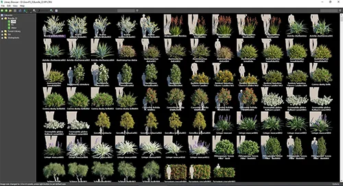 Globe Plants - Bundle 43 скачать