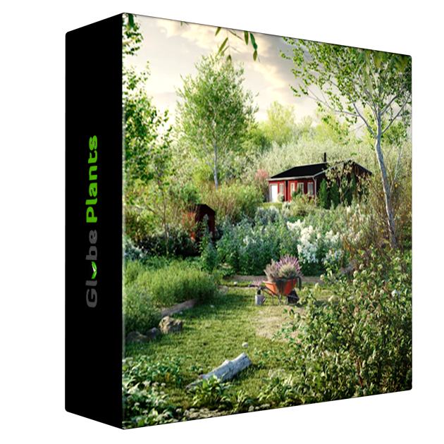 Globe Plants - Bundle 44