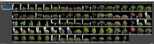 Globe Plants - Bundle 44 скачать