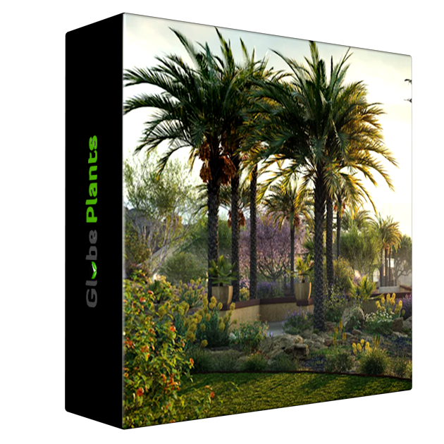 Globe Plants - Bundle 45