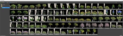 Globe Plants - Bundle 45 скачать