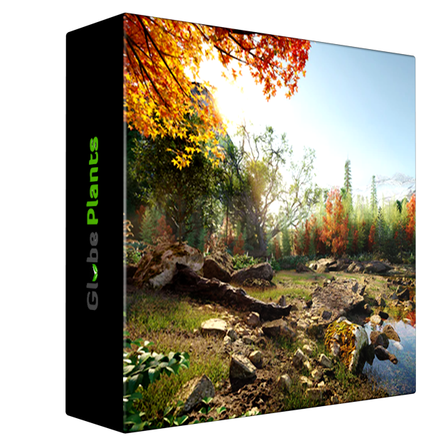 Globe Plants - Bundle 52